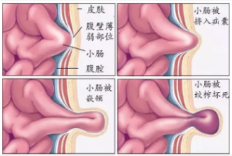 051696509018142434.png 1.png