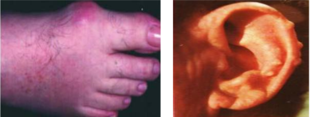 051696509482184368.png 2.png