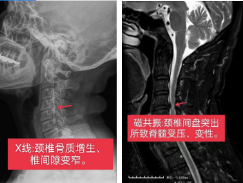 051696509967205522.png 3.png