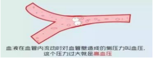 051696511953190619.png 1.png