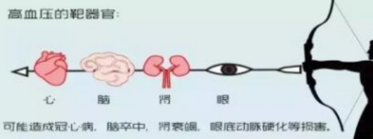 051696512183186473.png 11.png