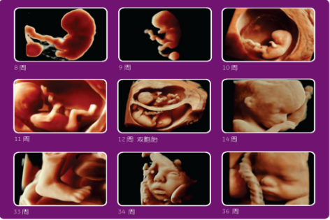 051696513970463701.png 4.png