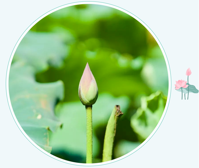 241721811206107519.png 1.png