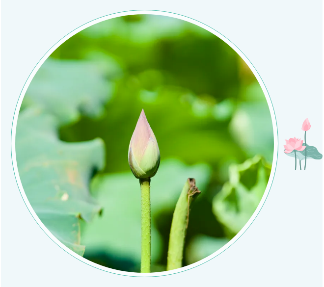 231724379724209267.png 1.png