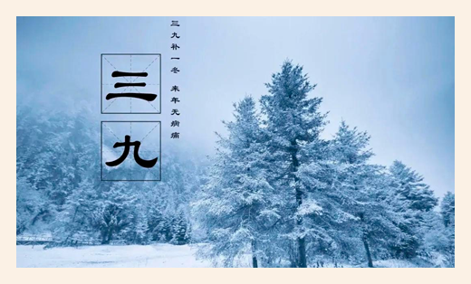 191734602151178528.png 02.jpg